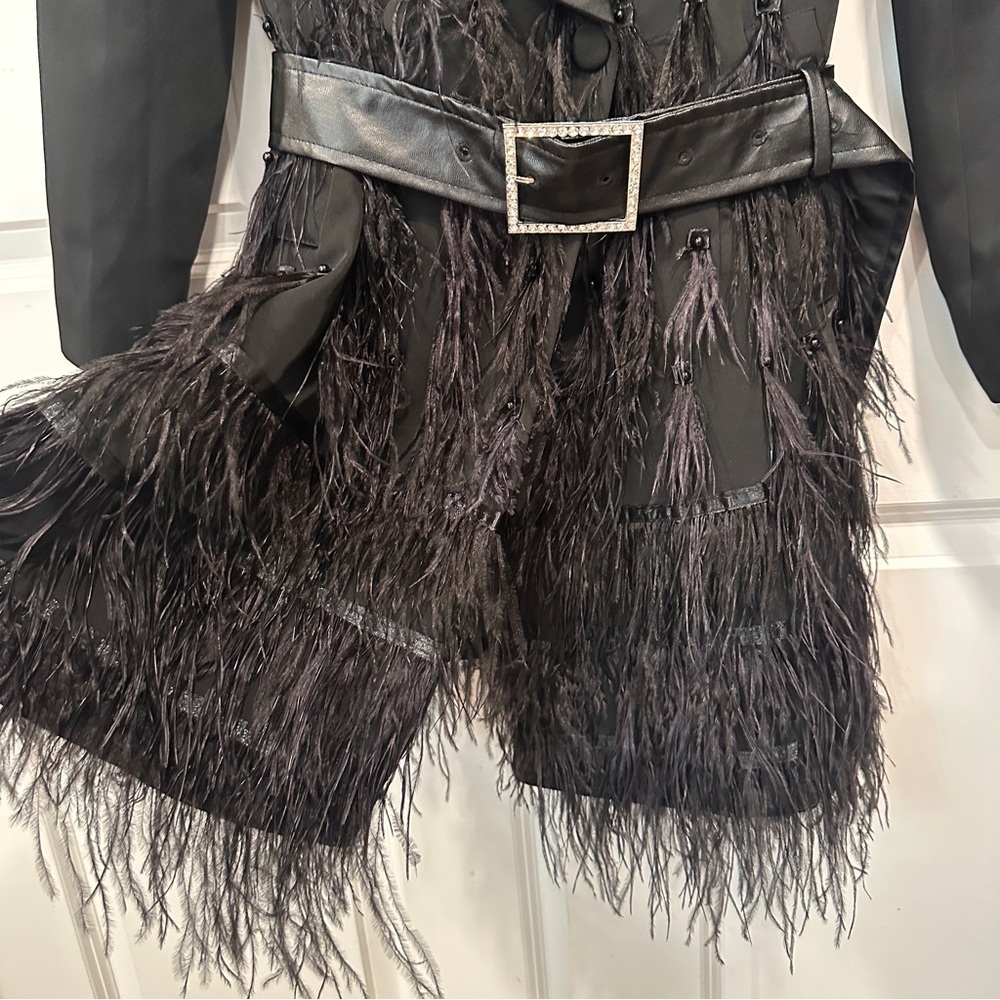 ZCRAVE Fifth Ave Feathers Dress - Picture 17 of 17